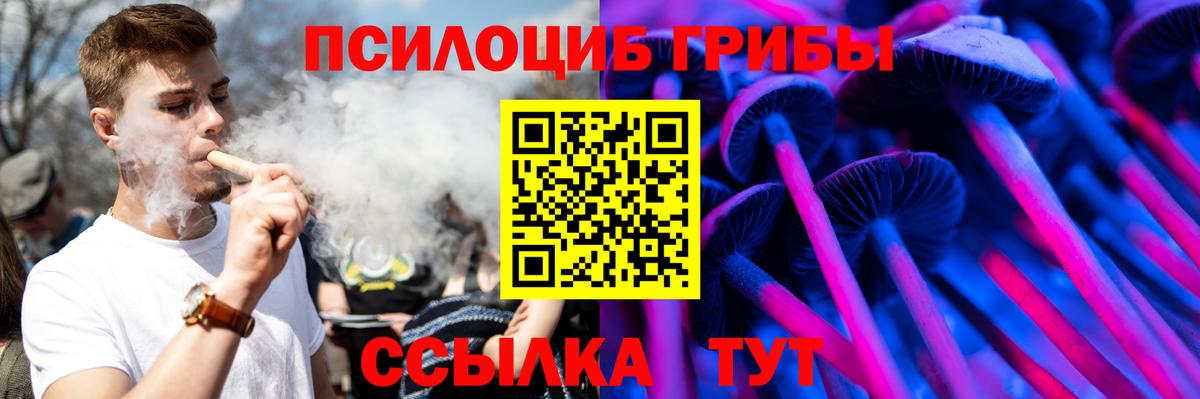 Гагарин  наркошоп  Вход с VPN  Галлюциногенные грибы прущие грибы 